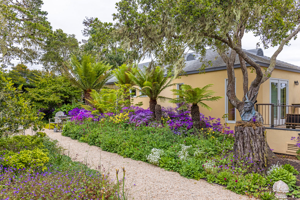 Pebble Beach valerian, aquilegia, yellow California poppy garden