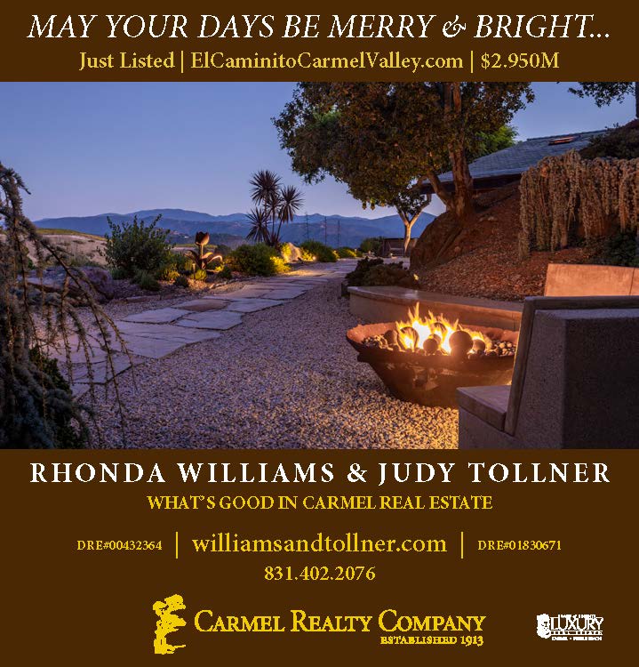 Williams and Tollner Holiday Ad Pine Cone 2023