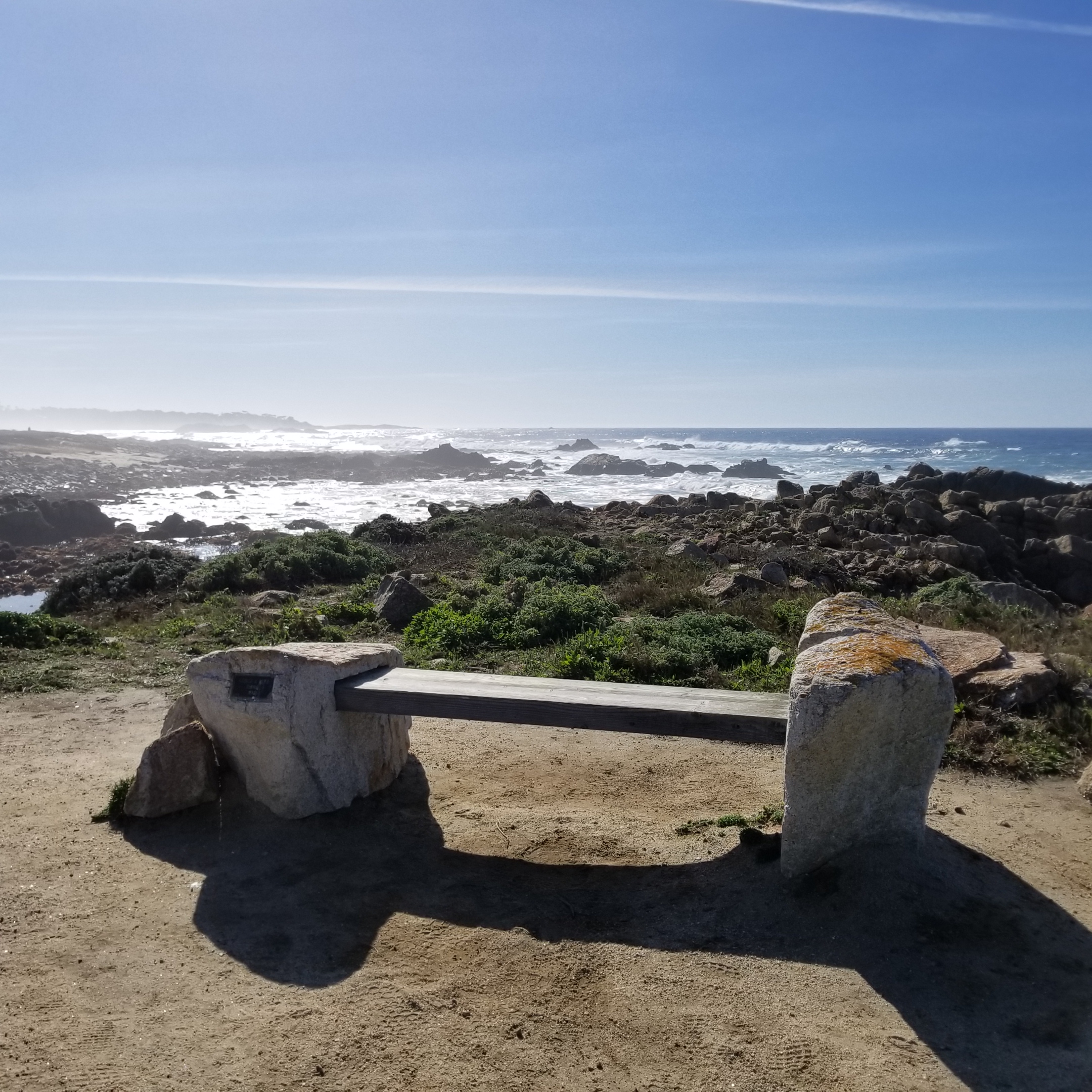 Image of Rhoda Benchsouth