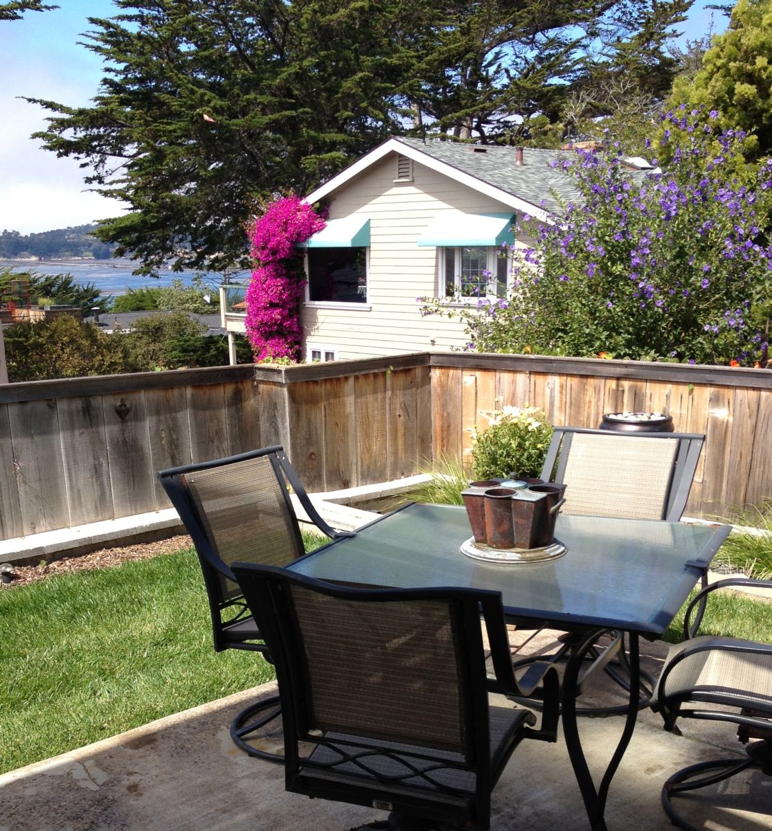 Backyard in 2012